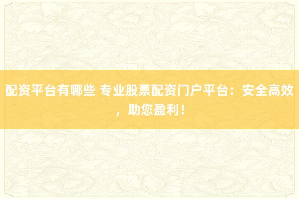 配资平台有哪些 专业股票配资门户平台：安全高效，助您盈利！