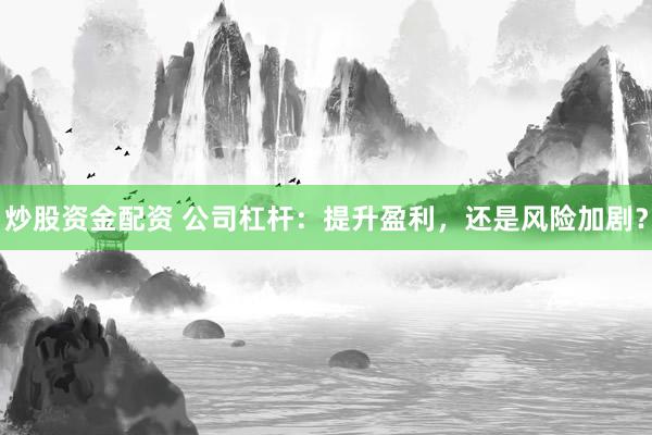 炒股资金配资 公司杠杆：提升盈利，还是风险加剧？