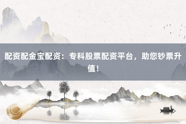 配资配金宝配资：专科股票配资平台，助您钞票升值！