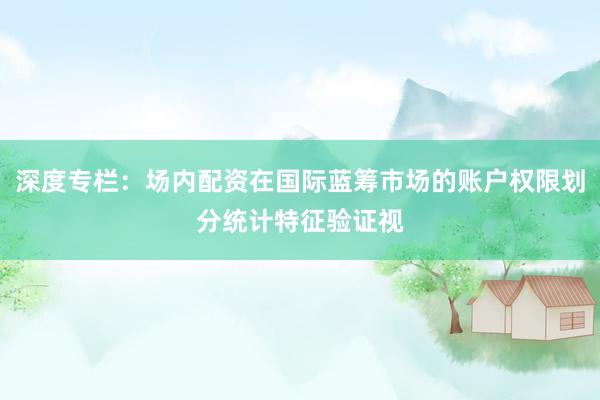 深度专栏：场内配资在国际蓝筹市场的账户权限划分统计特征验证视