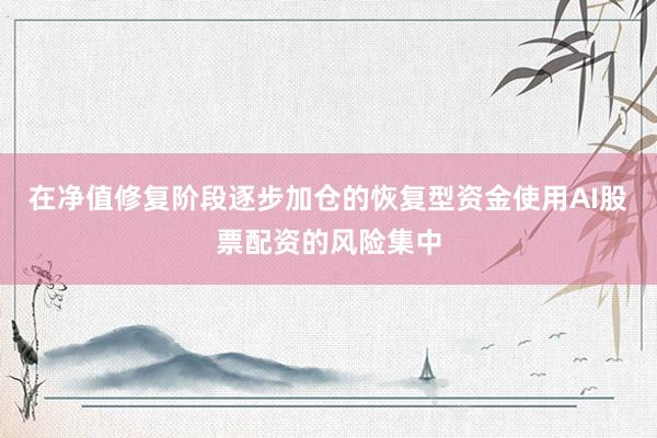 在净值修复阶段逐步加仓的恢复型资金使用AI股票配资的风险集中