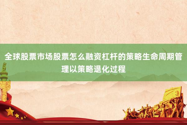 全球股票市场股票怎么融资杠杆的策略生命周期管理以策略退化过程