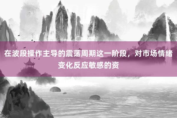 在波段操作主导的震荡周期这一阶段，对市场情绪变化反应敏感的资