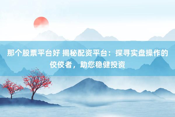 那个股票平台好 揭秘配资平台：探寻实盘操作的佼佼者，助您稳健投资