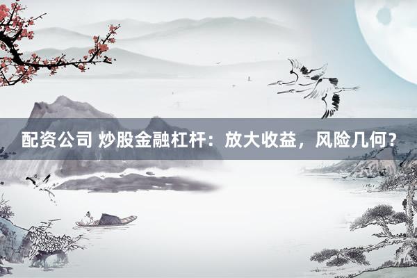配资公司 炒股金融杠杆：放大收益，风险几何？